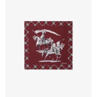 Archive Knight silkescarf