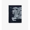Bred EKD-ullscarf Bred EKD-ullscarf