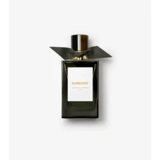 Burberry Signatures Midnight Journey Eau De Parfum 100 ml