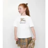 EKD Check bomullst-shirt EKD Check bomullst-shirt