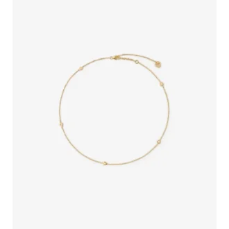 Halsband med sköld Halsband med sköld