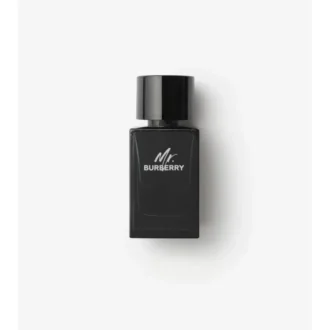 Mr. Burberry Eau De Parfum 100 ml