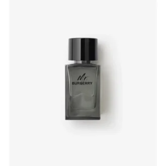 Mr. Burberry Eau De Toilette 100 ml