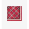 Rutig silkescarf Rutig silkescarf