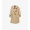Trench Coat in Gabardine Trench Coat in Gabardine